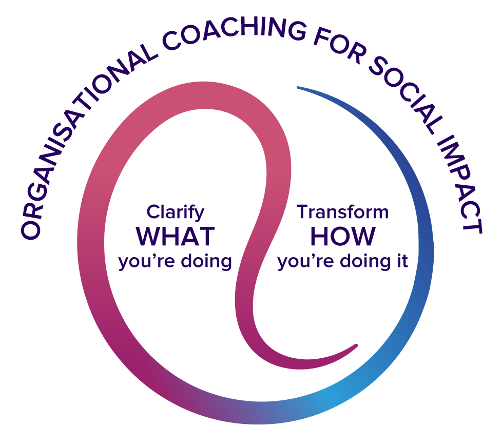LS-OrgCoaching-Diagrams-7b_03 LS-OrgCoaching-Diagrams-7b_03