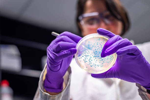 Health and Medical Research