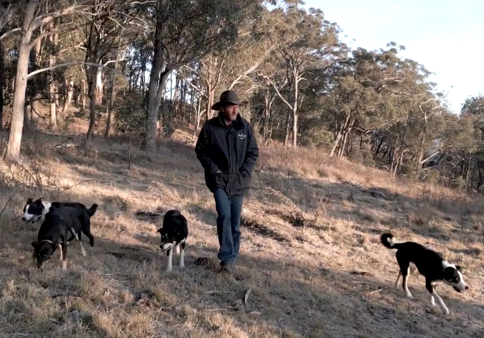 backtrack-video