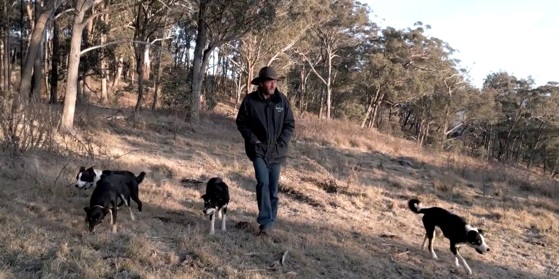 backtrack-video