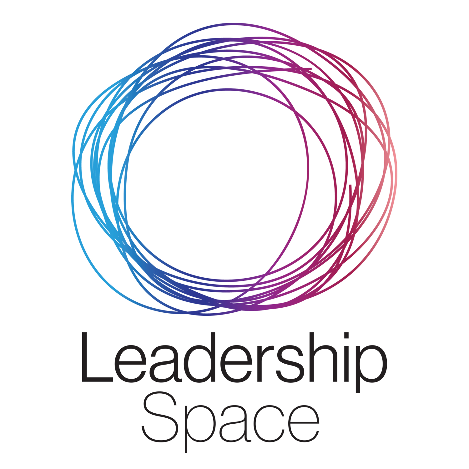 Leadership Space - conversations with visionary social purpose leaders